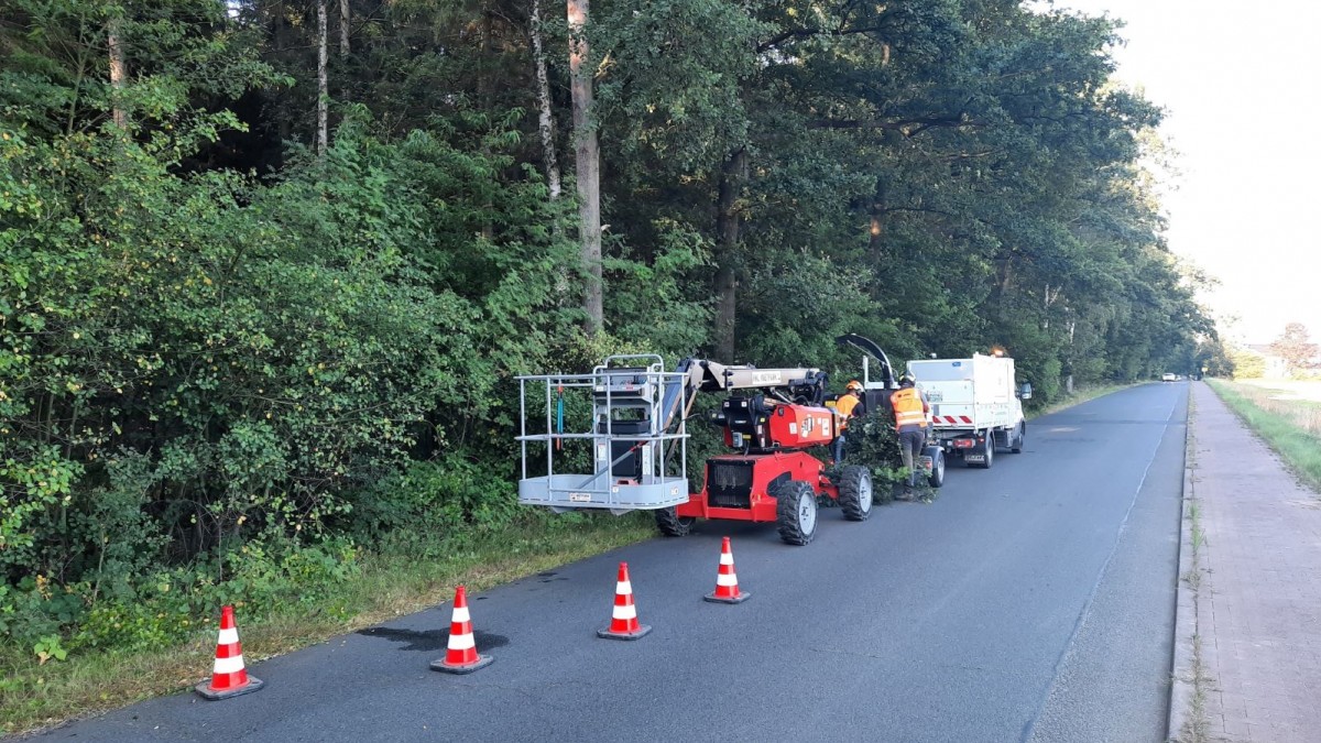 Lichtraumprofilschnitt in Tangstedt (Stormarn)